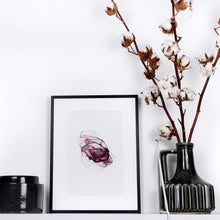 Lade das Bild in den Galerie-Viewer, MOXIE