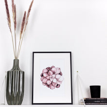 Lade das Bild in den Galerie-Viewer, SUKKULENTE (rosé)