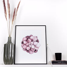 Lade das Bild in den Galerie-Viewer, SUKKULENTE (rosé)